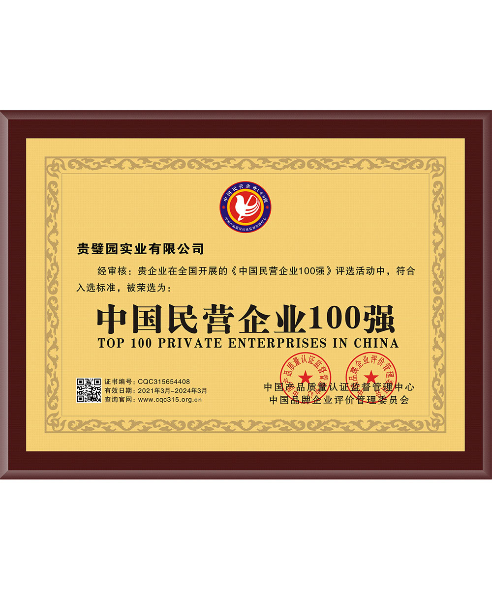 全国民营企业100强